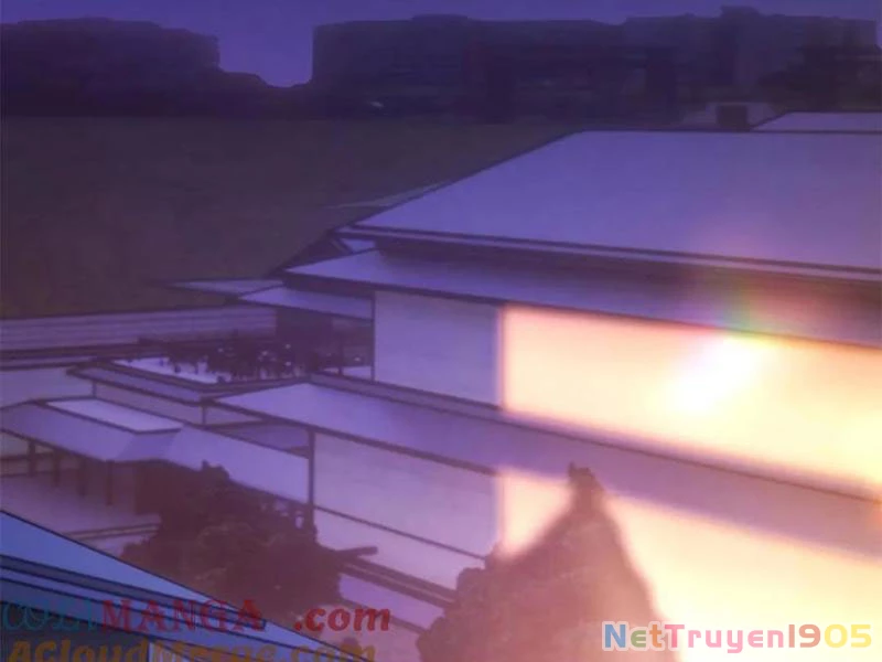 Trọng Sinh Không Làm Chạn Vương, Tôi Một Mình Nạp Game Thăng Cấp Chapter 232 - 62