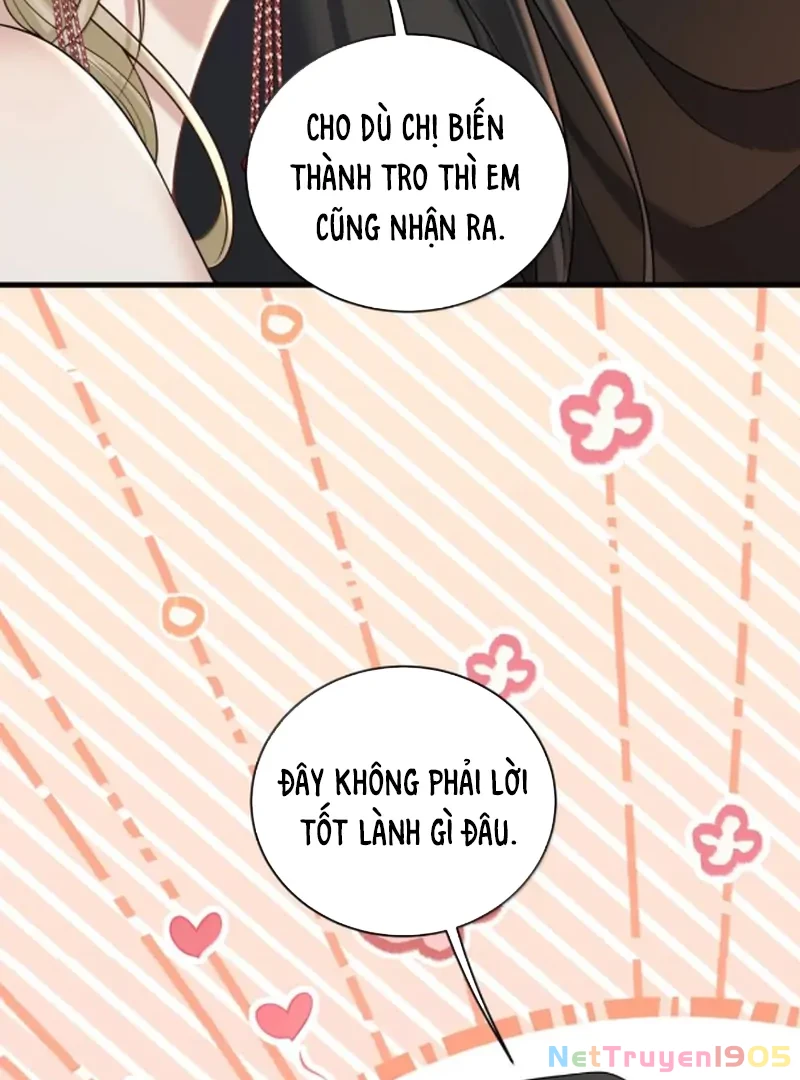 Người Tình Nguy Hiểm Chapter 43 - 57