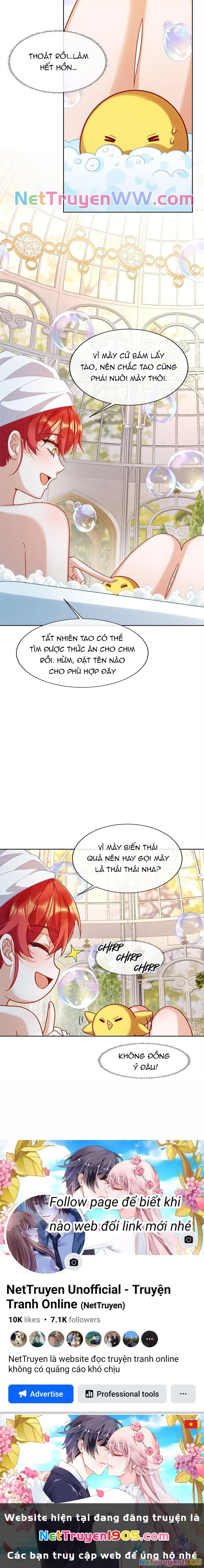 Thiên kim phản diện và tiểu thư ma vương Chapter 67 - 9
