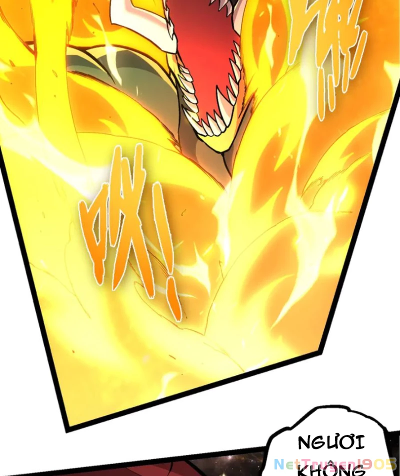 Chuyển Sinh Thành Liễu Đột Biến Chapter 384 - 5