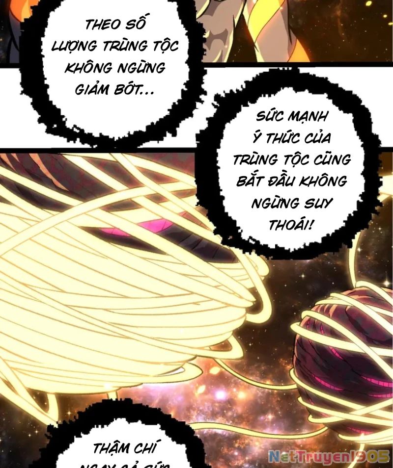 Chuyển Sinh Thành Liễu Đột Biến Chapter 384 - 55