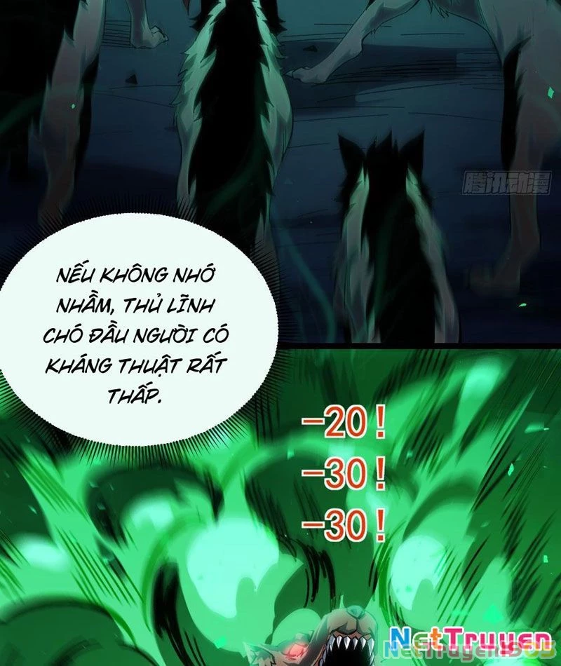 Dị Biến Giáng Lâm Nhân Gian: Triệu Hoán Chi Chủ! Chapter 11 - Trang 2