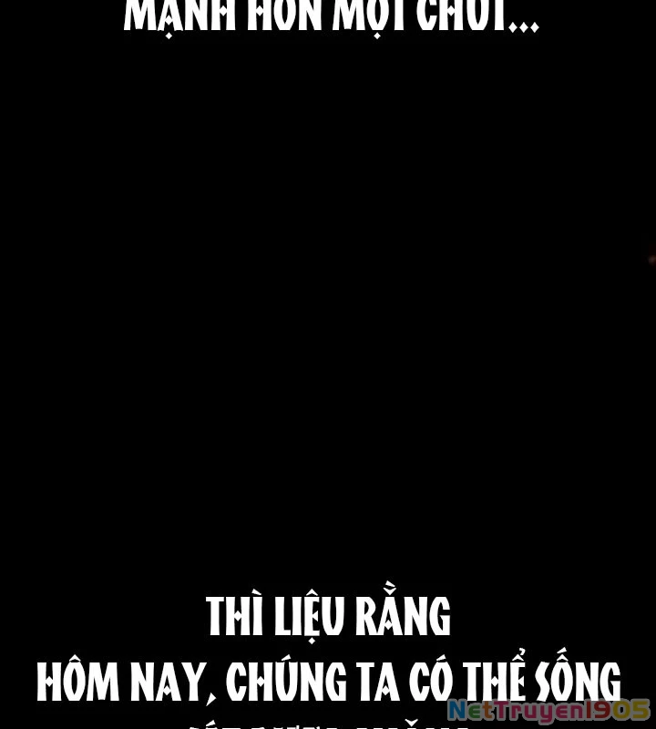 Tiểu Công Tử Của Ân Hạ Thương Đoàn Chapter 1 - 74