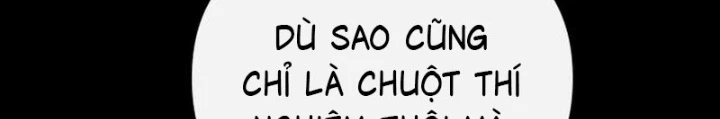 Giang Hồ Thực Thi Công Lý Chapter 138 - 186