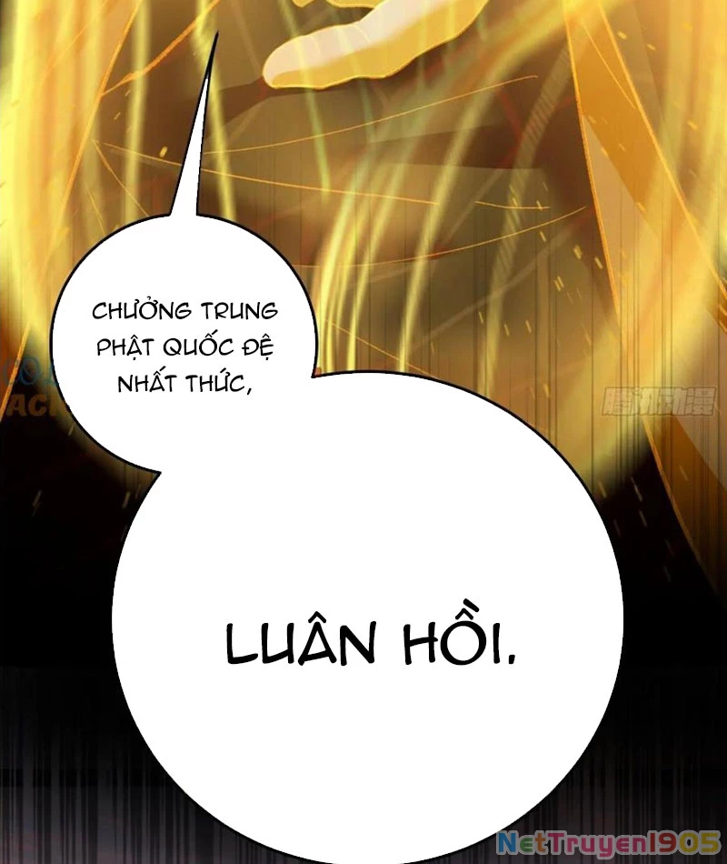 Đại Thừa Kỳ Mới Có Nghịch Tập Hệ Thống Chapter 69 - 2