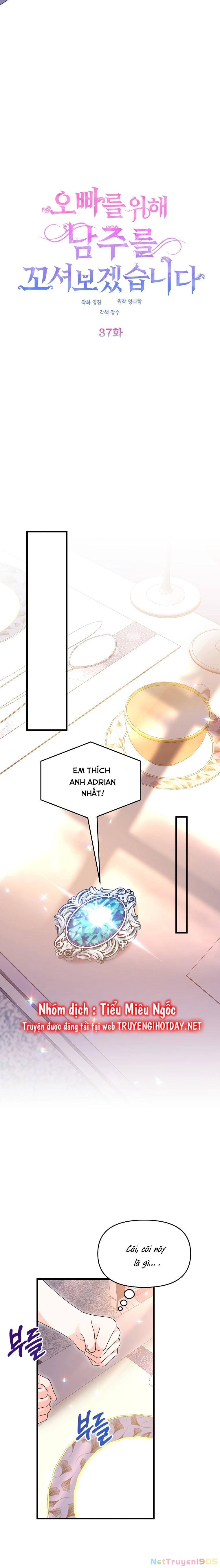 Vì Anh Trai Tôi Sẽ Quyến Rũ Nam Chính Chapter 37 - 8
