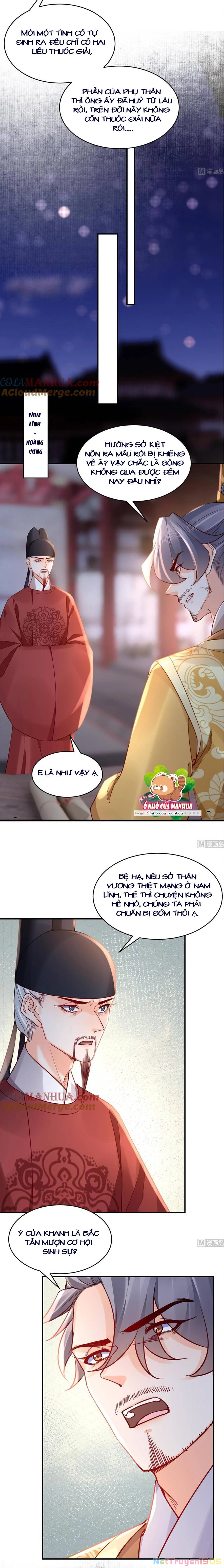 Hoàng Đệ Đừng Nhấc Đao Chapter  80 - 5