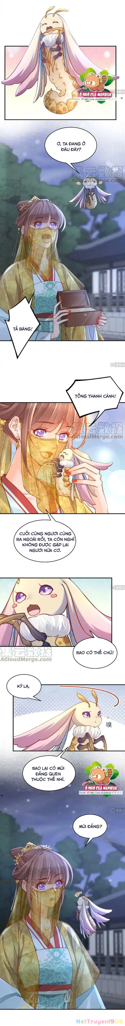 Hoàng Đệ Đừng Nhấc Đao Chapter  81 - 7