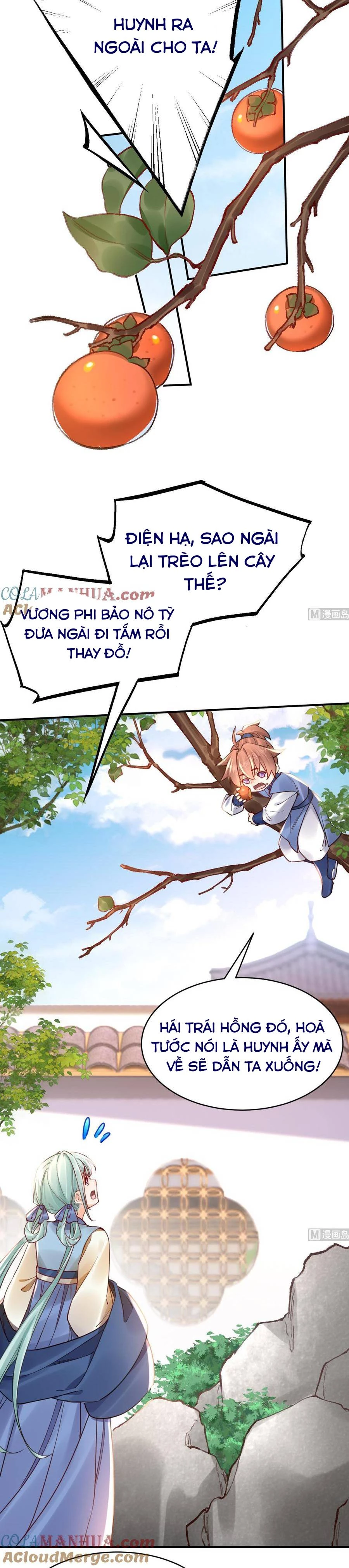 Hoàng Đệ Đừng Nhấc Đao Chapter 98 - 9