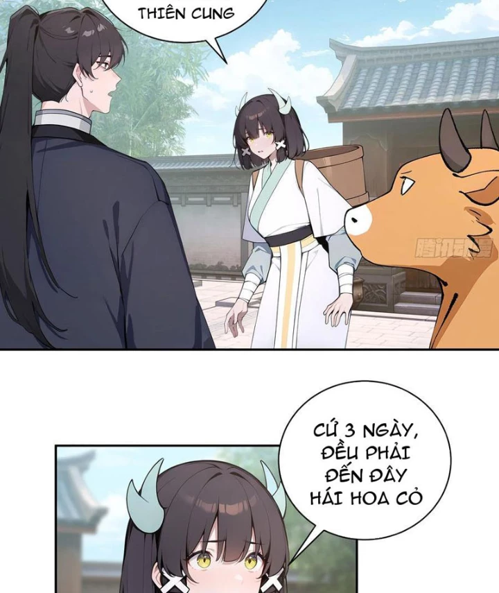 Bách Thê Phổ: Thánh Nữ Đều Gọi Ta Là Phu Quân Chapter 62 - Trang 2