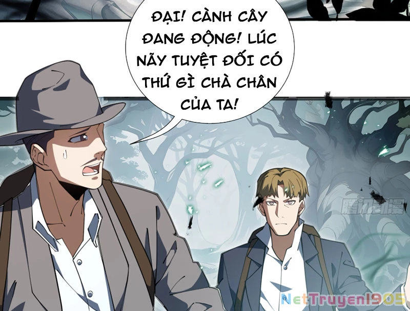 Mộ Quang Phân Giới Chapter 5 - 5