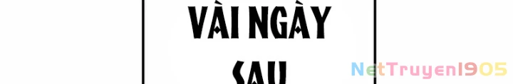 Kim Chiến Sĩ: Hành Trình Xây Dựng Đặc Tính Chapter 42 - 166