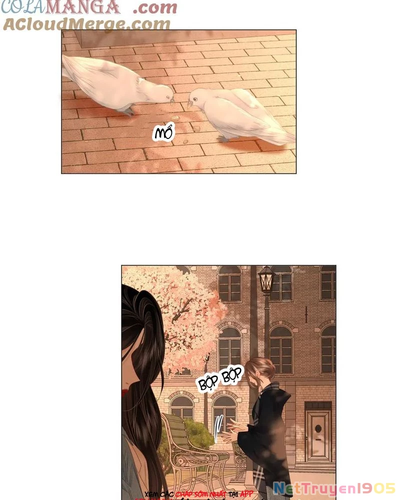 Em Chỉ Có Thể Là Của Tôi Chapter 145 - 25