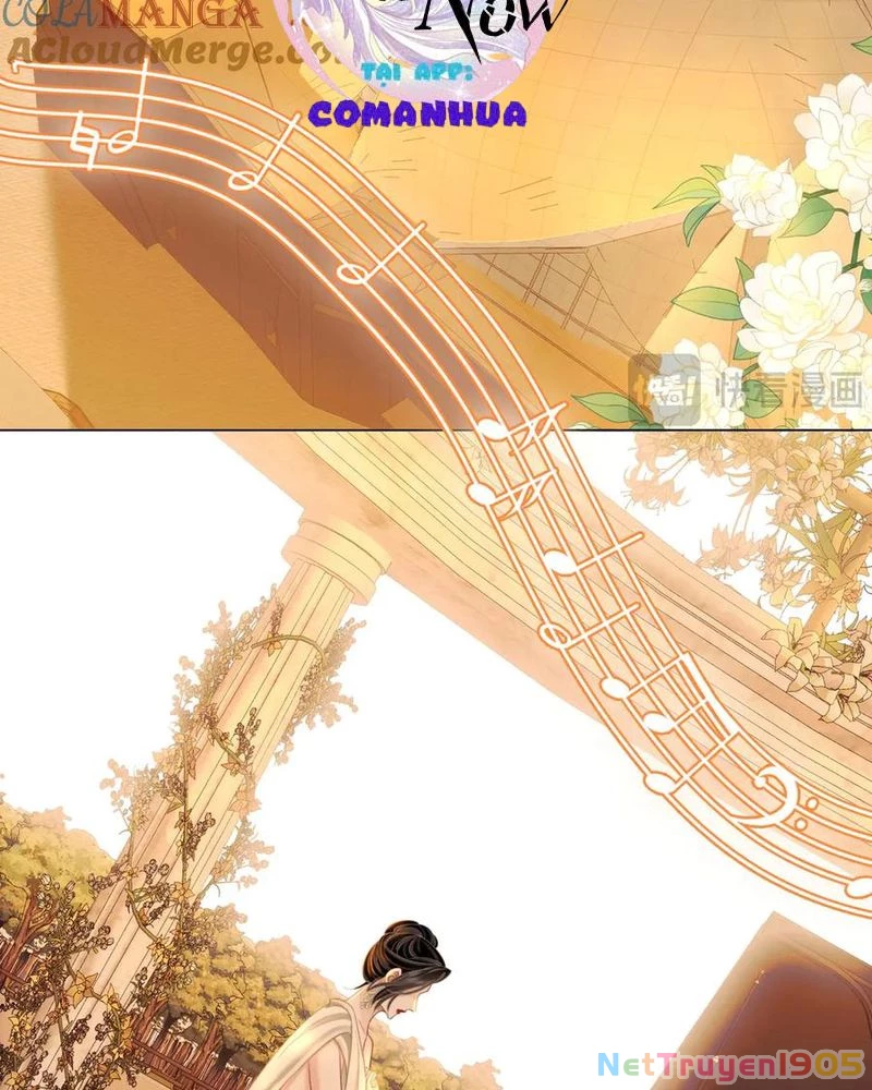 Em Chỉ Có Thể Là Của Tôi Chapter 147 - 16