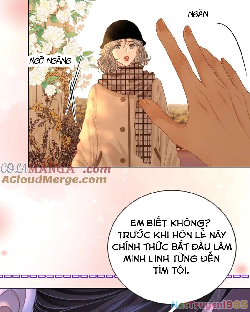 Em Chỉ Có Thể Là Của Tôi Chapter 147 - 41