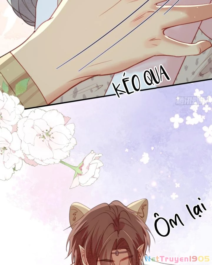 Thú Thế Ngọt Sủng, Tôi Ở Dị Giới Làm Vũ Thần Chapter 58 - Trang 2