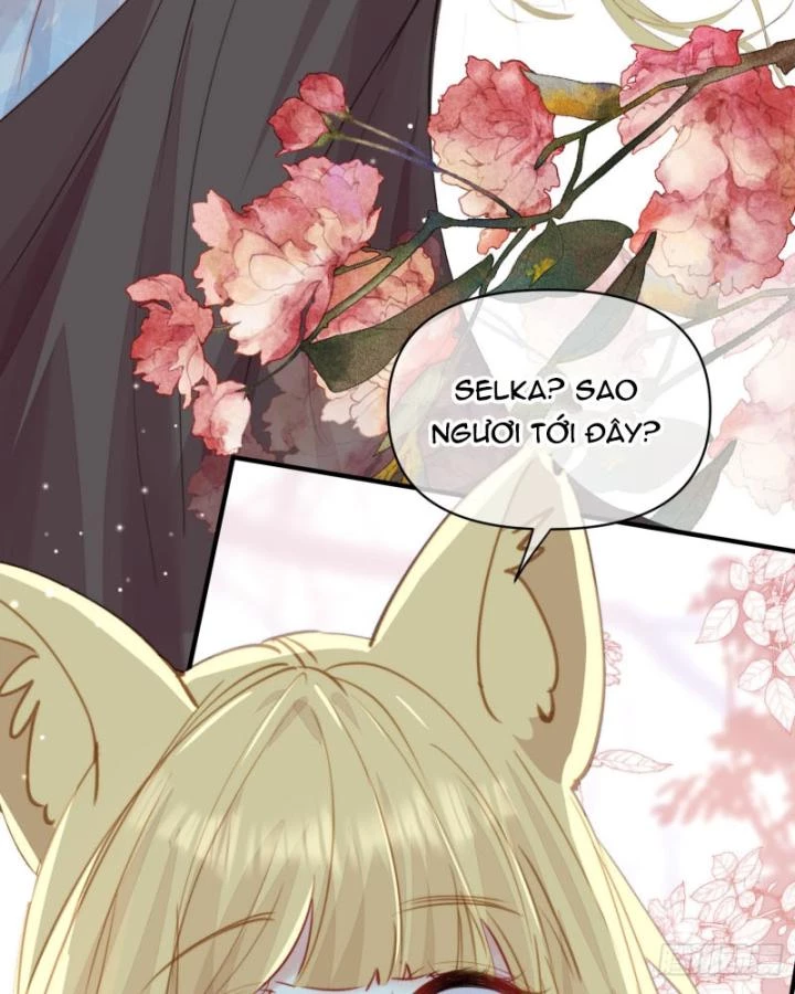 Thú Thế Ngọt Sủng, Tôi Ở Dị Giới Làm Vũ Thần Chapter 60 - 49