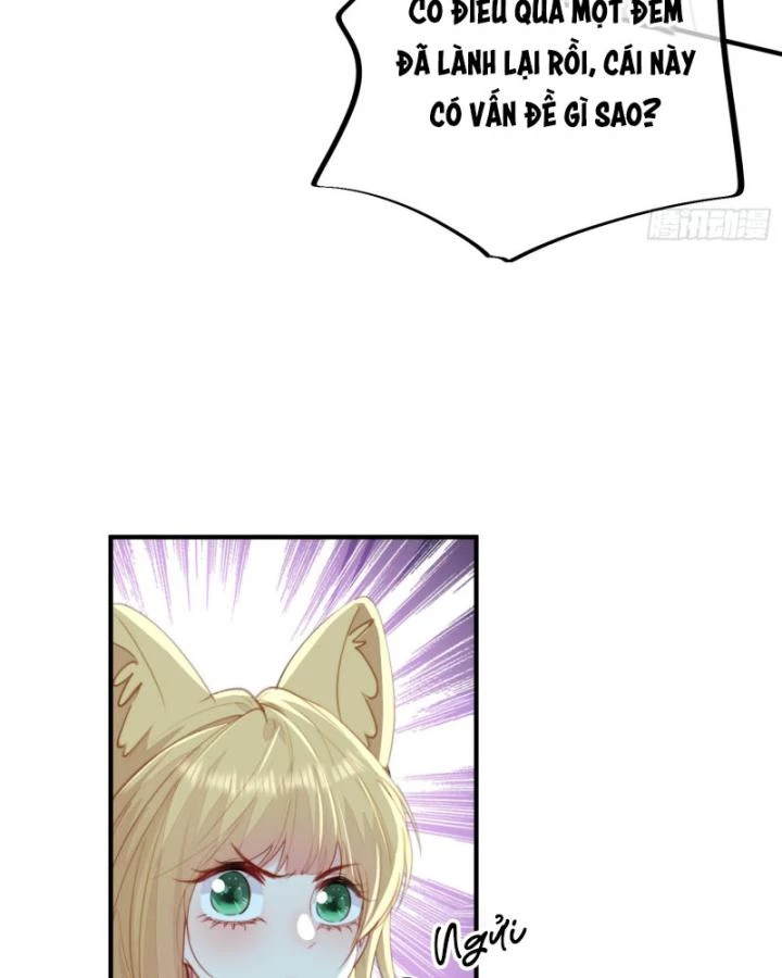 Thú Thế Ngọt Sủng, Tôi Ở Dị Giới Làm Vũ Thần Chapter 60 - 54