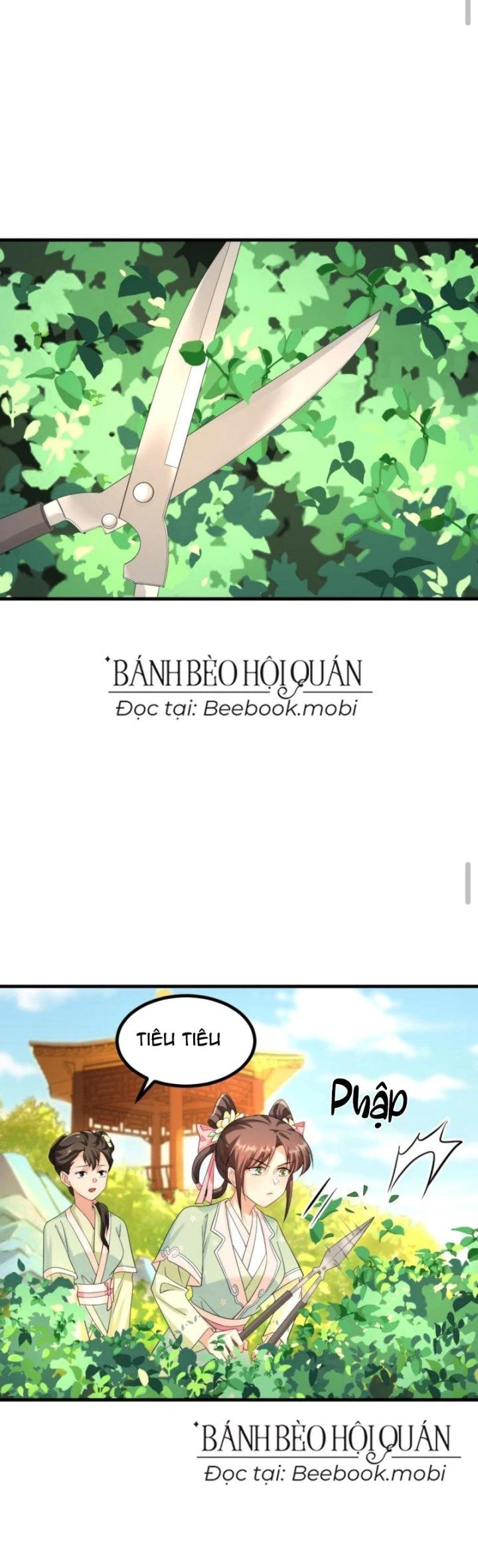 Bắt Ta Làm Cung Nữ? Ta Liền Cho Bạo Quân Quỳ Ván Giặt Đồ!!!! Chapter 98 - 2