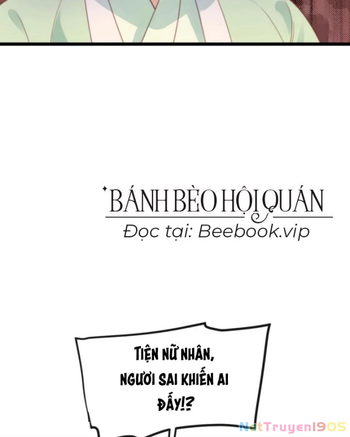 Bắt Ta Làm Cung Nữ? Ta Liền Cho Bạo Quân Quỳ Ván Giặt Đồ!!!! Chapter 239 - 40