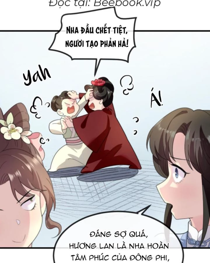 Bắt Ta Làm Cung Nữ? Ta Liền Cho Bạo Quân Quỳ Ván Giặt Đồ!!!! Chapter 240 - 5