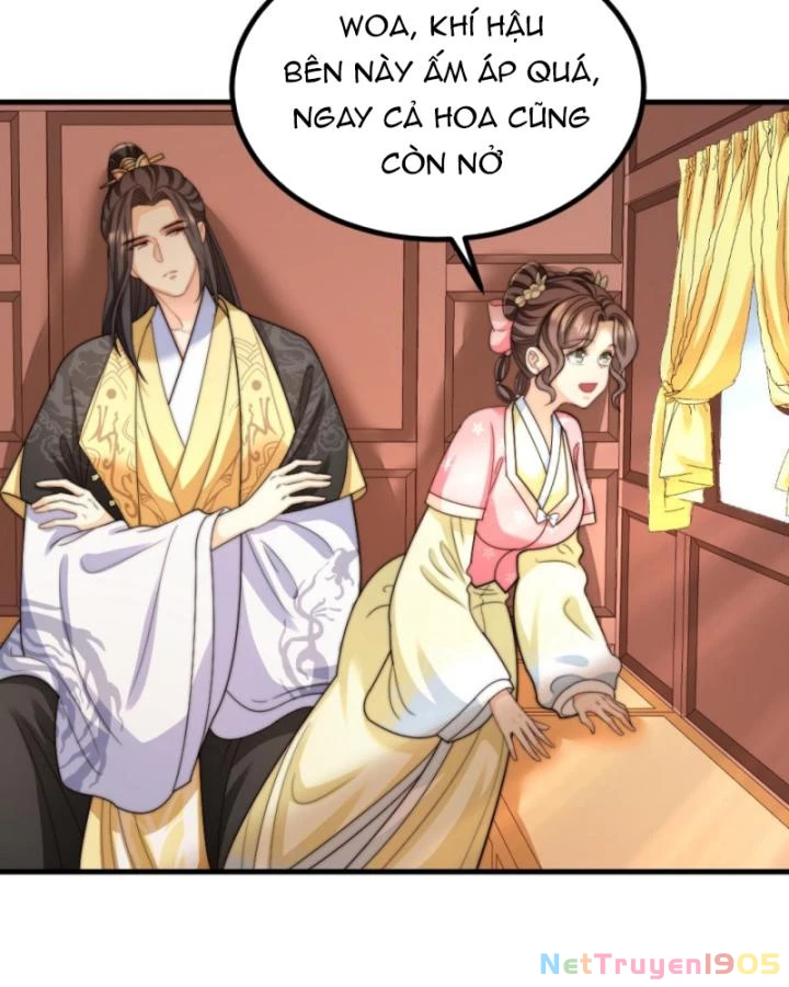 Bắt Ta Làm Cung Nữ? Ta Liền Cho Bạo Quân Quỳ Ván Giặt Đồ!!!! Chapter 260 - 25