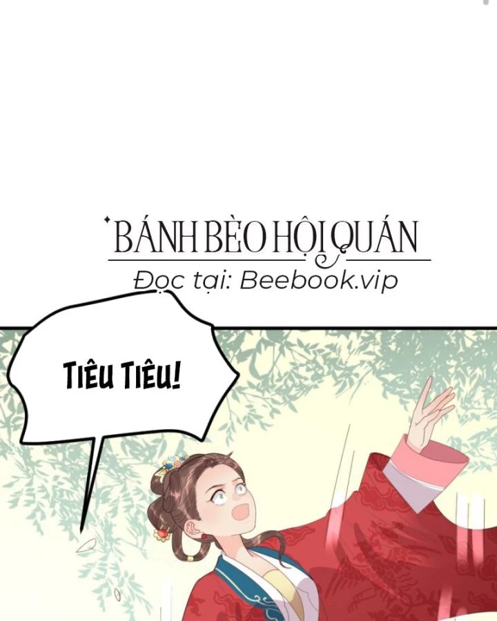 Bắt Ta Làm Cung Nữ? Ta Liền Cho Bạo Quân Quỳ Ván Giặt Đồ!!!! Chapter 296 - 13