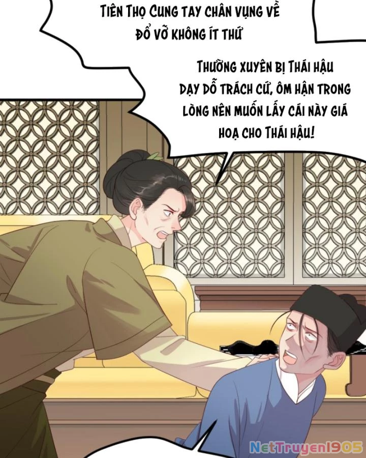 Bắt Ta Làm Cung Nữ? Ta Liền Cho Bạo Quân Quỳ Ván Giặt Đồ!!!! Chapter 300 - 23