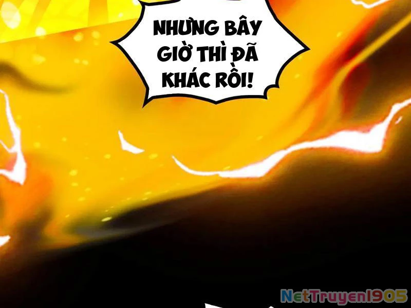 Gặp Mạnh Thì Mạnh, Ta Tu Vi Vô Thượng Hạn Chapter 52 - 95