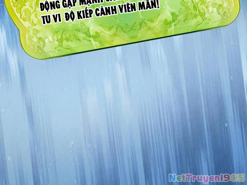 Gặp Mạnh Thì Mạnh, Ta Tu Vi Vô Thượng Hạn Chapter 52 - 108