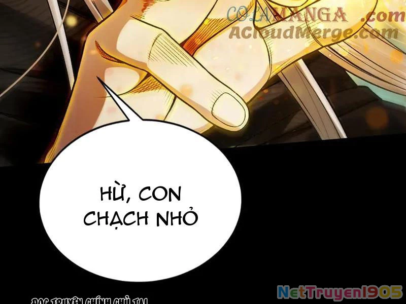 Gặp Mạnh Thì Mạnh, Ta Tu Vi Vô Thượng Hạn Chapter 52 - 144