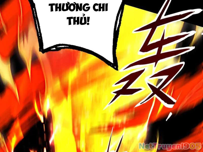 Gặp Mạnh Thì Mạnh, Ta Tu Vi Vô Thượng Hạn Chapter 52 - 150