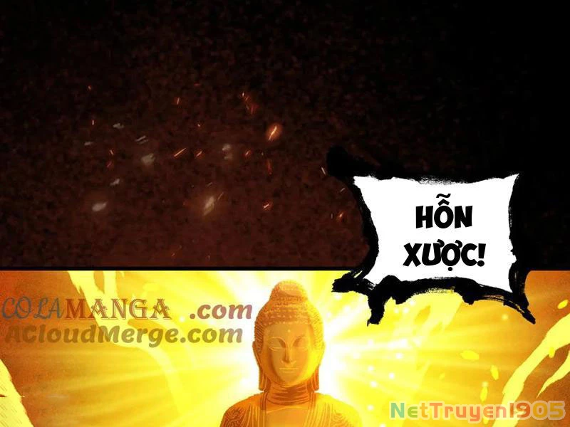 Gặp Mạnh Thì Mạnh, Ta Tu Vi Vô Thượng Hạn Chapter 52 - 171