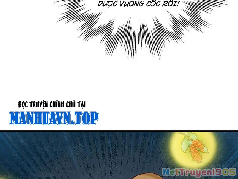 Gặp Mạnh Thì Mạnh, Ta Tu Vi Vô Thượng Hạn Chapter 52 - 199