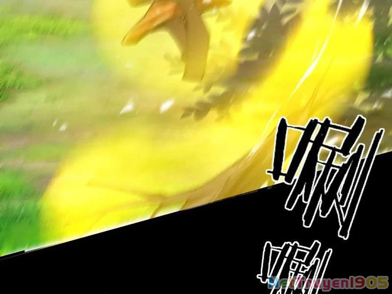 Gặp Mạnh Thì Mạnh, Ta Tu Vi Vô Thượng Hạn Chapter 52 - 205
