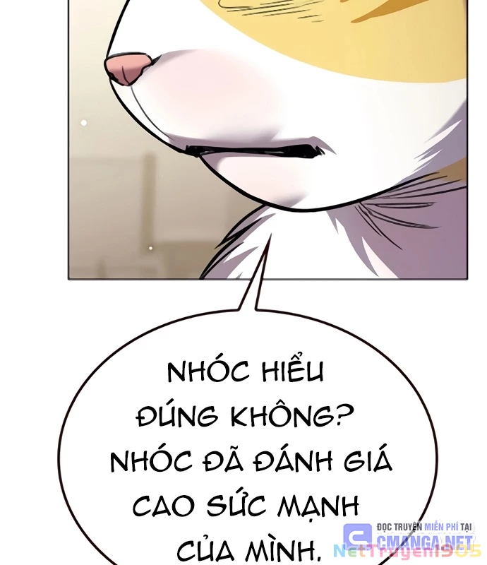 Hoá Thân Thành Mèo Chapter 354 - 147