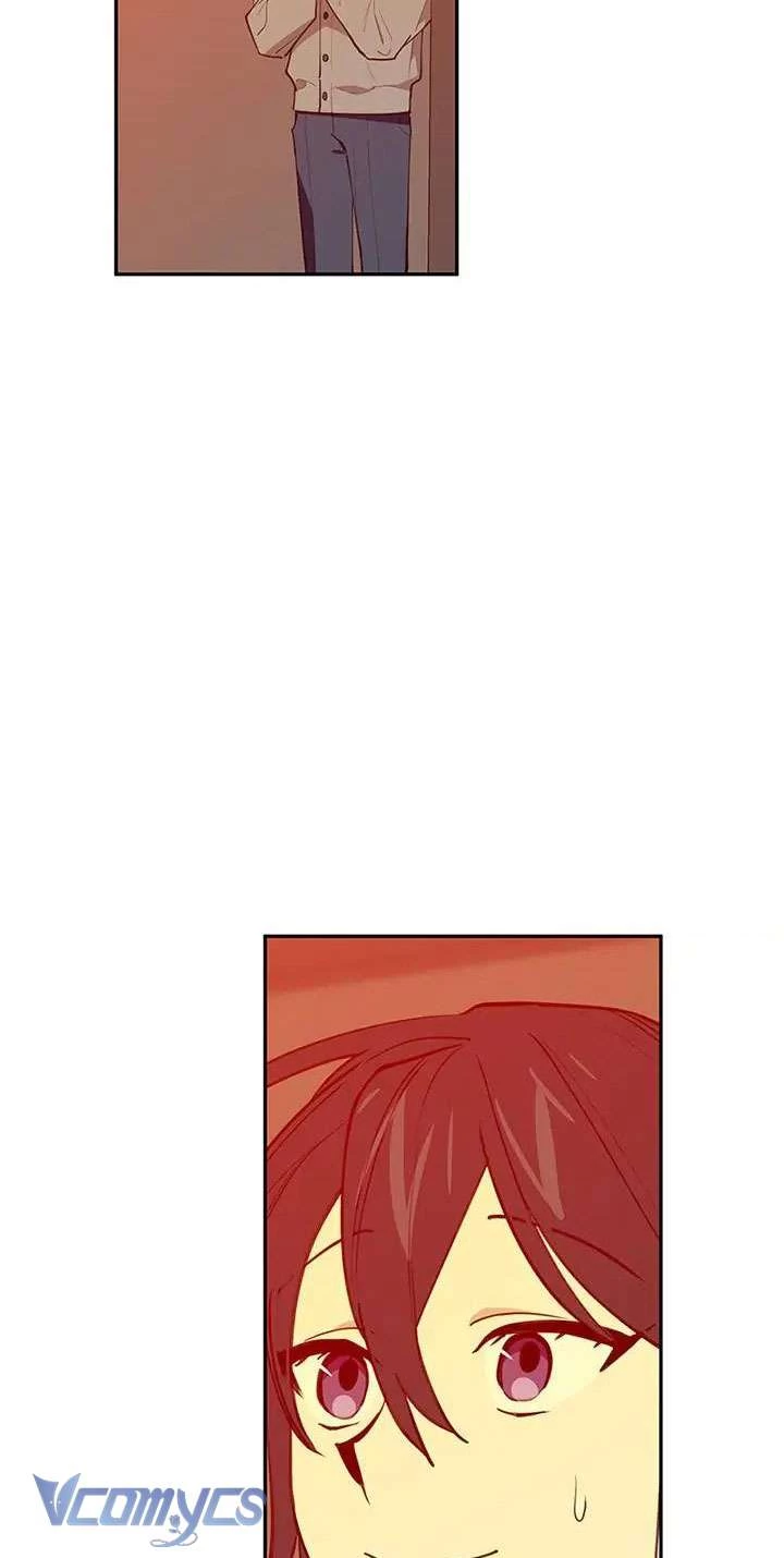 Điều Ước Sao Băng Chapter  53 - 58