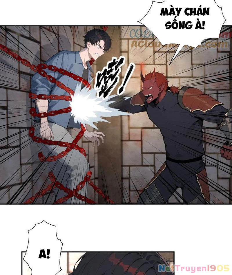 Vô Địch Bắt Đầu Từ Trúc Cơ Chapter 78 - 24