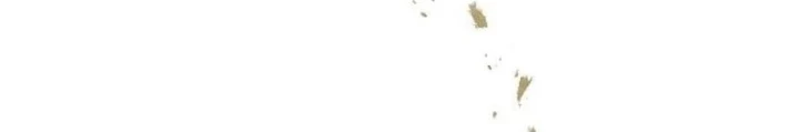 Bậc Thầy Toàn Bộ Kỹ Năng Chapter 22 - 166