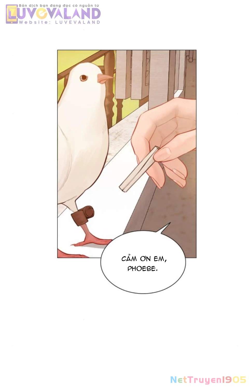 Hãy Khóc Và Cầu Nguyện Đi Chapter 52 - 35