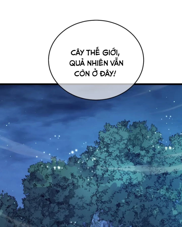 Vô Địch Bị Động Tạo Ra Tấn Sát Thương Chapter 73 - 63