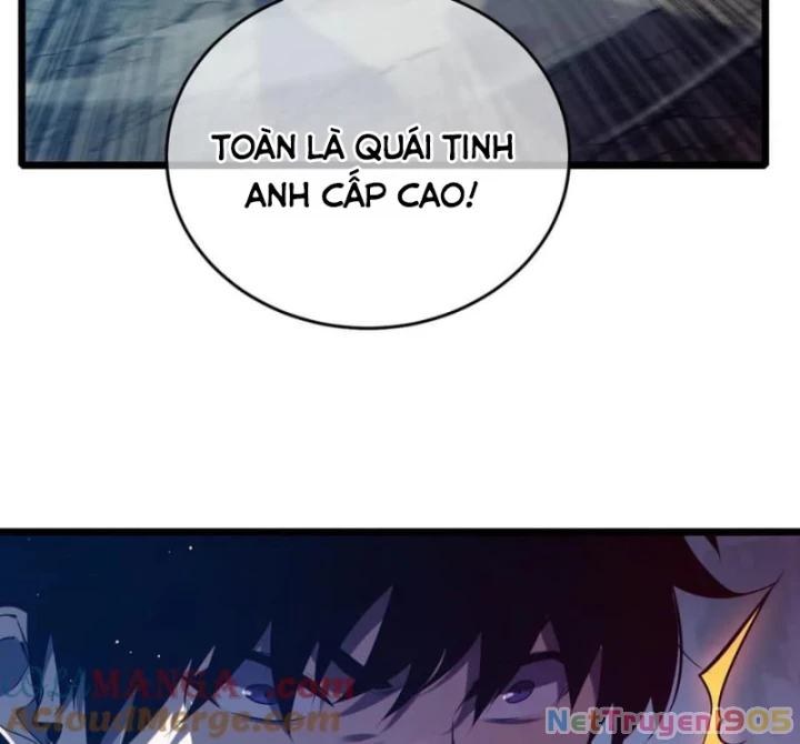 Vô Địch Bị Động Tạo Ra Tấn Sát Thương Chapter 78 - 135