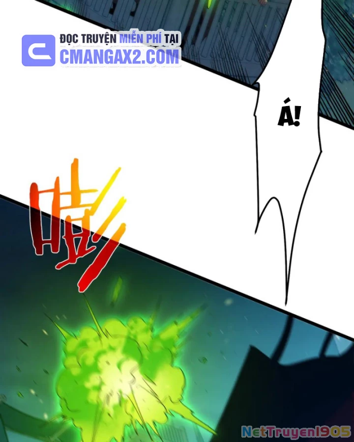 Vô Địch Bị Động Tạo Ra Tấn Sát Thương Chapter 85 - 47