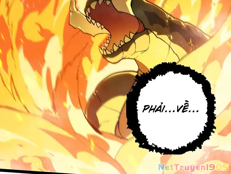 Chuyển Sinh Thành Liễu Đột Biến Chapter 385 - 17