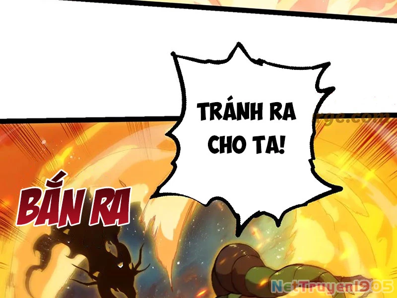 Chuyển Sinh Thành Liễu Đột Biến Chapter 385 - 18