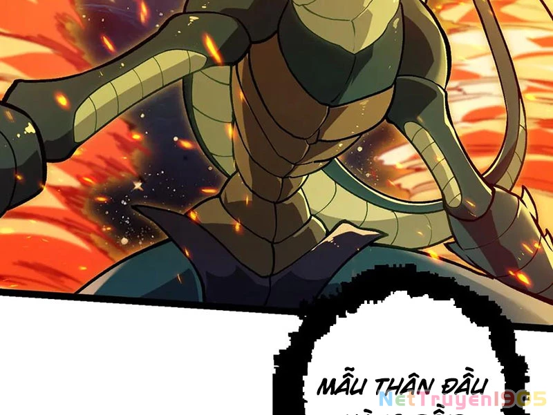 Chuyển Sinh Thành Liễu Đột Biến Chapter 385 - 95