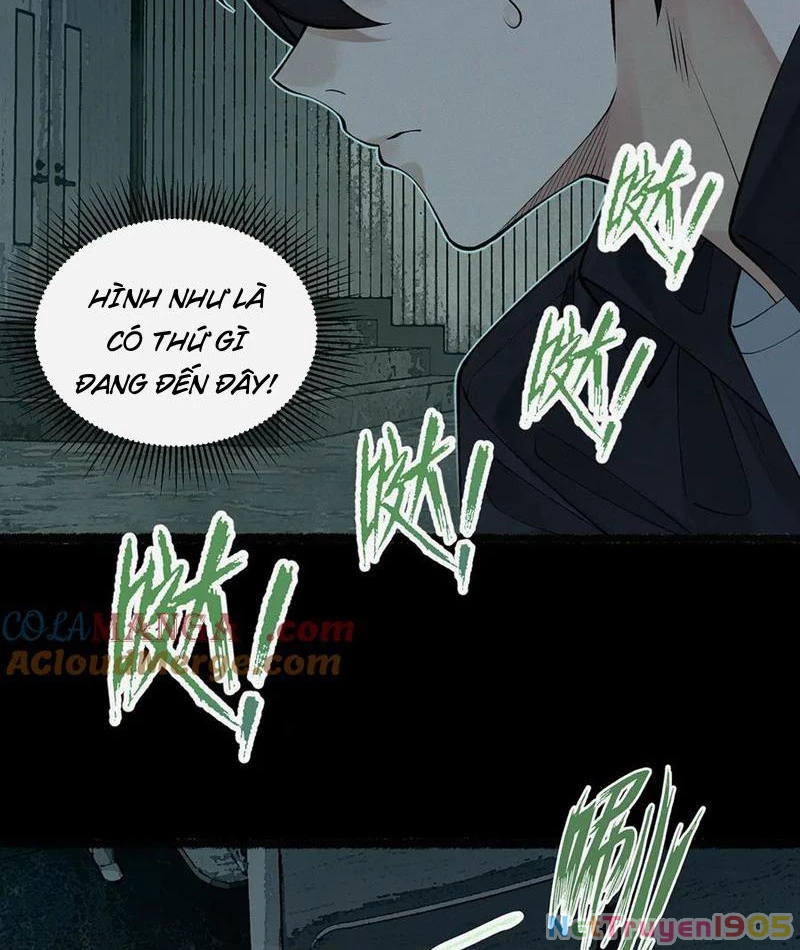 Thu Thi Nhân: Mở Đầu Bằng Việc Giải Phẫu Bạn Gái Cũ Chapter 12 - 82