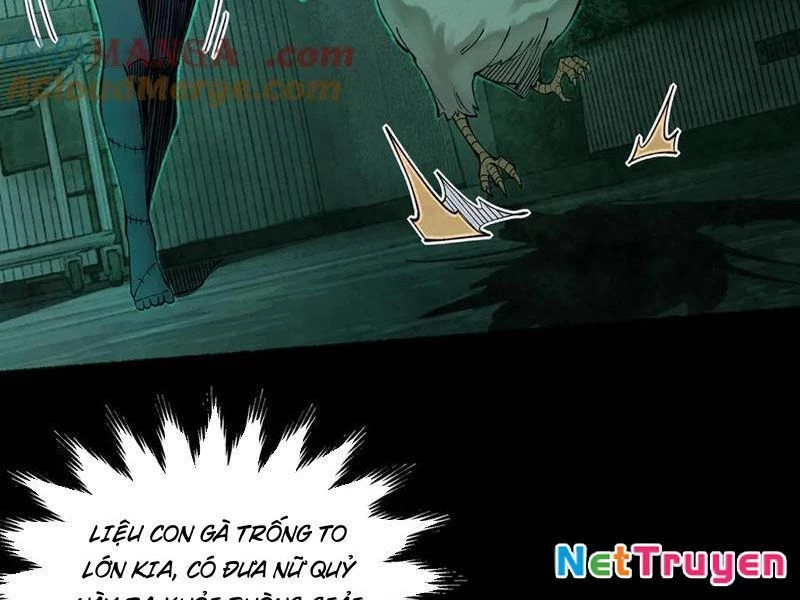 Thu Thi Nhân: Mở Đầu Bằng Việc Giải Phẫu Bạn Gái Cũ Chapter 13 - 6