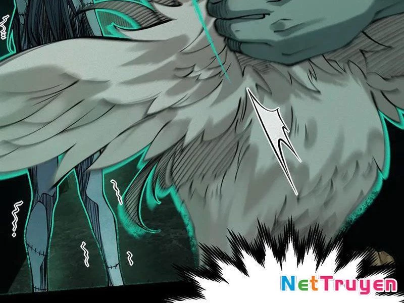 Thu Thi Nhân: Mở Đầu Bằng Việc Giải Phẫu Bạn Gái Cũ Chapter 13 - 11