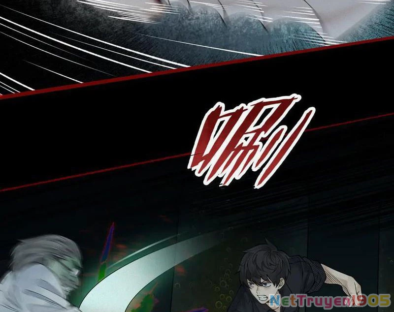 Thu Thi Nhân: Mở Đầu Bằng Việc Giải Phẫu Bạn Gái Cũ Chapter 14 - 12